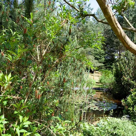 Granzow Lakeside Ruheaufenthalt * Ahlbeck (Usedom)