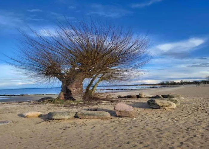 Hébergement de vacances Granzow Lakeside Ruheaufenthalt Ahlbeck (Vorpommern-Greifswald)